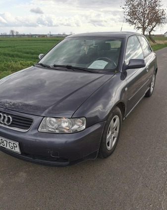 Audi A3 cena 4700 przebieg: 234000, rok produkcji 2000 z Szamotuły małe 92